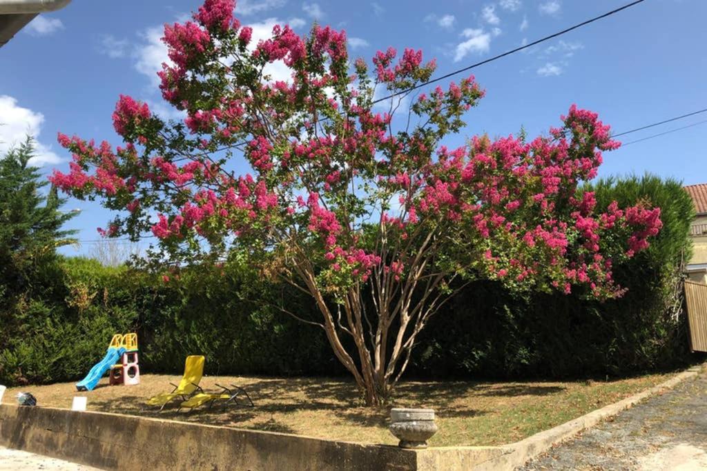 Au Lilas Rose Maison Entre Campagne Et Village Belvès Εξωτερικό φωτογραφία