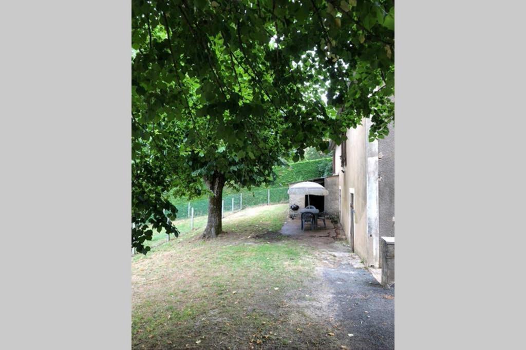 Au Lilas Rose Maison Entre Campagne Et Village Belvès Εξωτερικό φωτογραφία