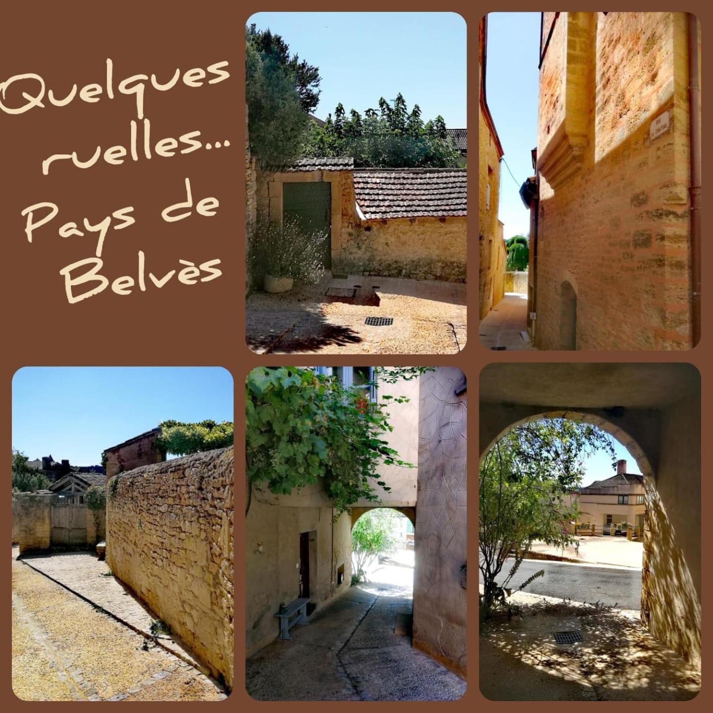 Au Lilas Rose Maison Entre Campagne Et Village Belvès Εξωτερικό φωτογραφία